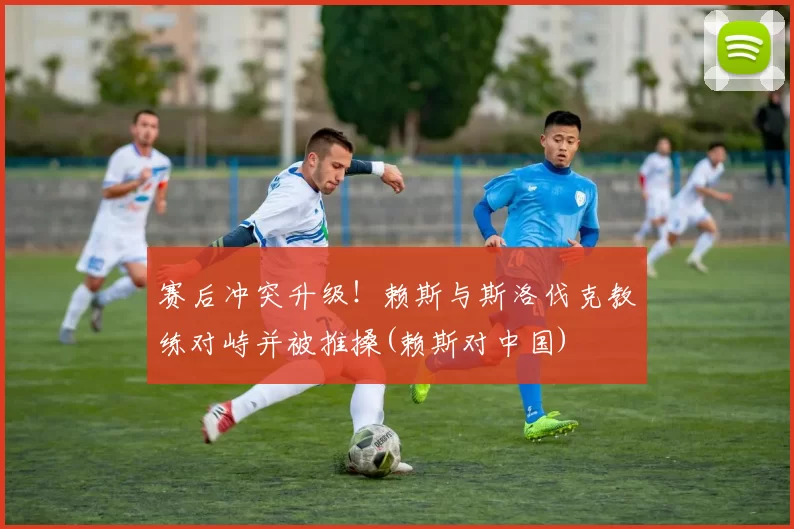 赛后冲突升级！赖斯与斯洛伐克教练对峙并被推搡(赖斯对中国)